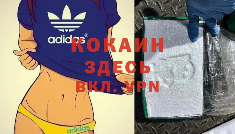 купить   Кодинск  Cocaine 99% 